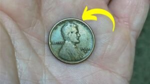 Could Your Pocket Change Be Worth $170 Million